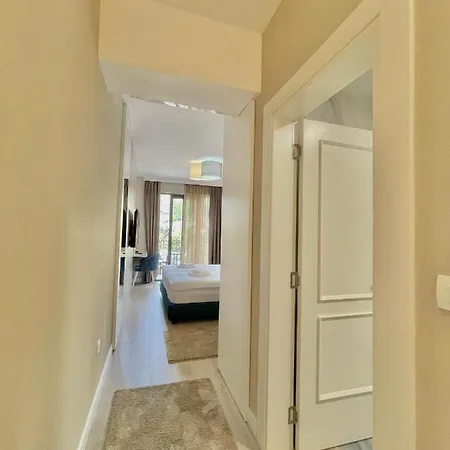 Comfort Pasha